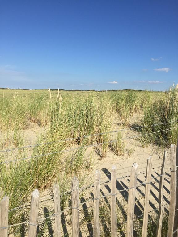 Haags Duinhuis - Familyfriendly Holidayhome Exteriör bild